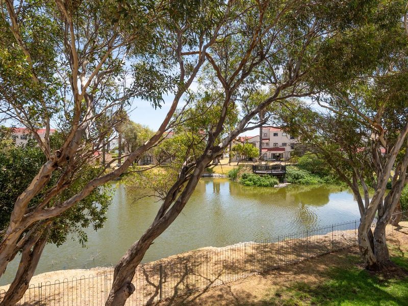A scenic view of a tranquil pond surrounded by mature trees and a small wooden deck, offering a peaceful outdoor outlook.