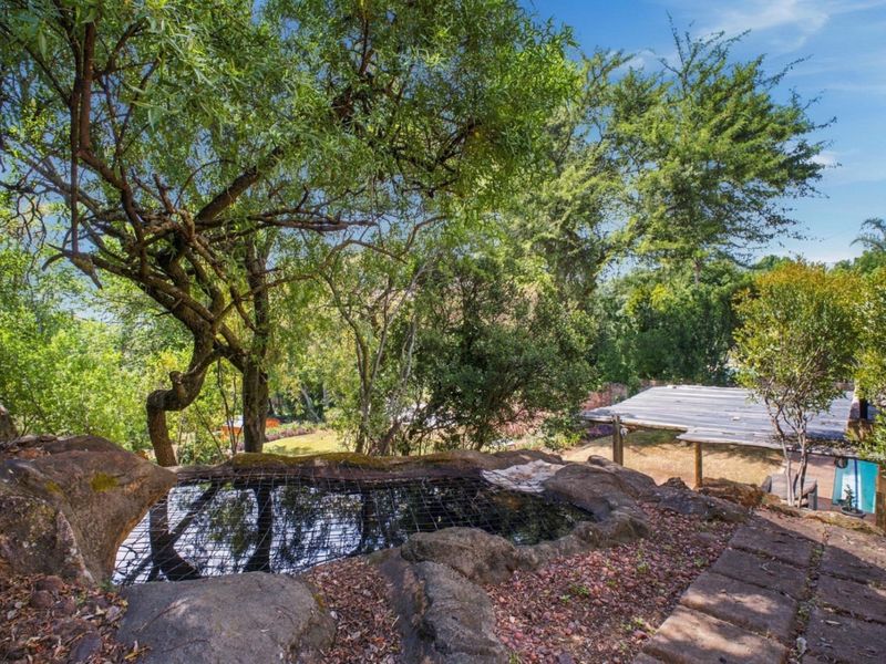 A natural garden setting featuring a rock-lined water feature, stone pathways, and mature trees, offering a tranquil outdoor space.