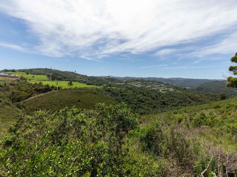 A scenic elevated view overlooking rolling green hills, native vegetation, and distant residential development.