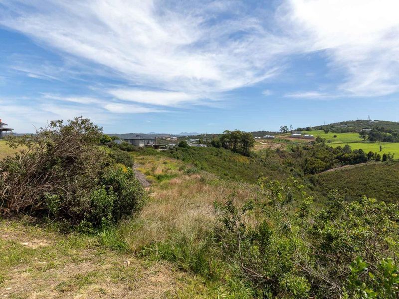 A scenic view overlooking a natural, sloped landscape with surrounding residential properties in the distance.