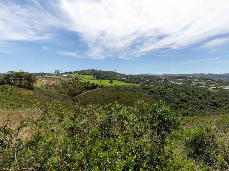 A scenic, elevated view of the surrounding landscape, featuring rolling hills, native vegetation, and distant residential development.