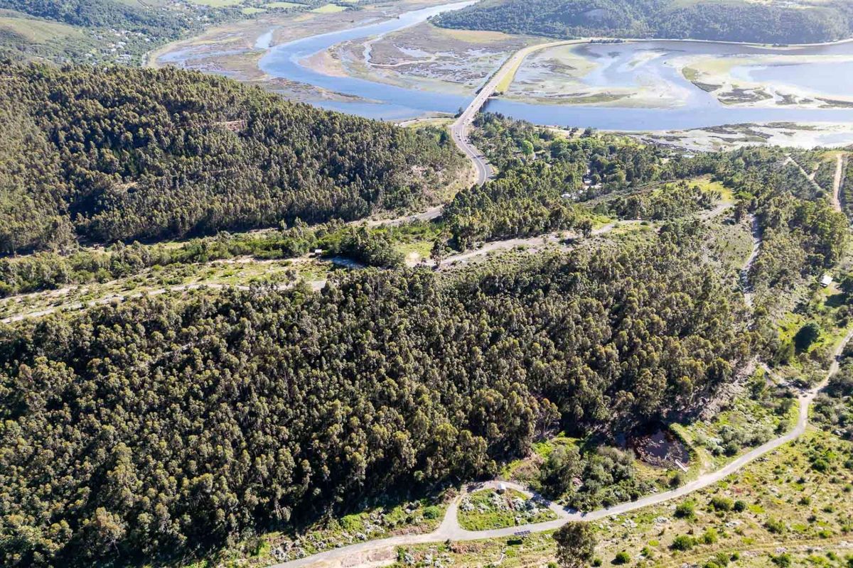 An aerial view of the expansive farm property featuring dense forest, winding access roads, and scenic views of the nearby estuary and bridge.