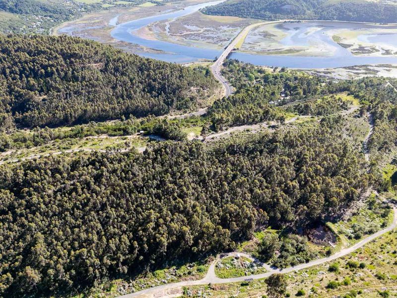 An aerial view of the expansive farm property featuring dense forest, winding access roads, and scenic views of the nearby estuary and bridge.