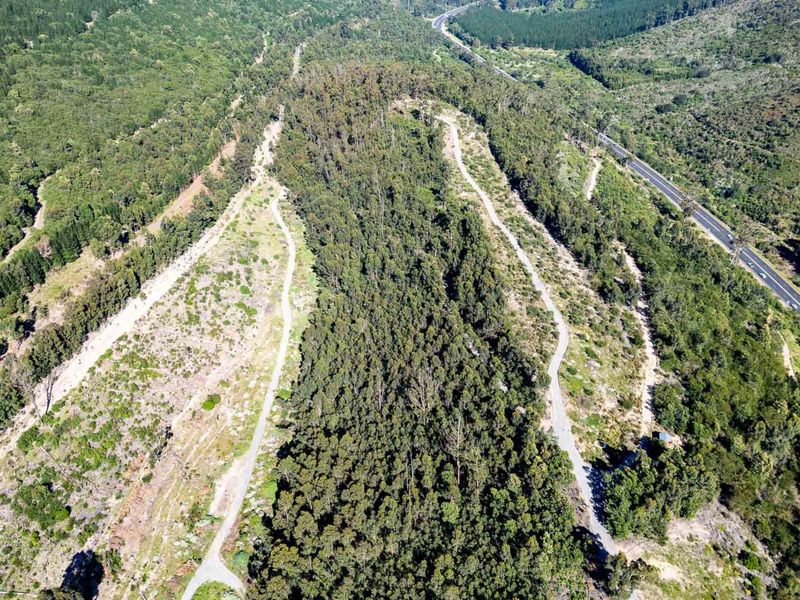 An aerial view of the expansive farm property featuring established forest areas and internal paved access roads with proximity to the main highway.