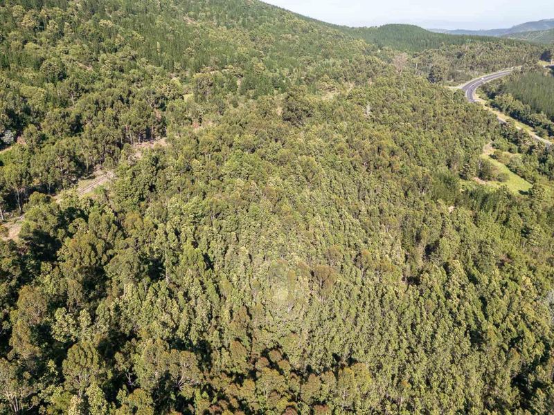 An aerial view of the expansive, heavily forested farm property featuring dense vegetation and proximity to a main access road.