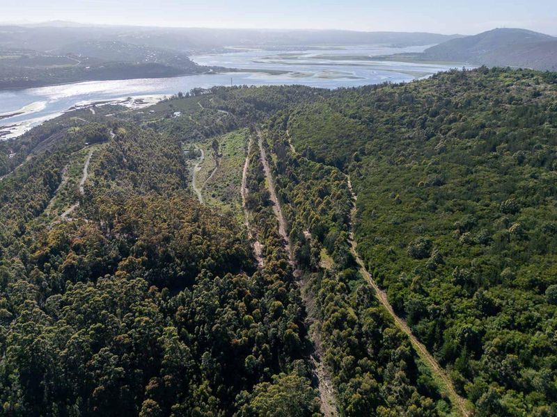 An expansive aerial view of the farm property featuring dense forest, natural vegetation, and scenic proximity to the estuary.