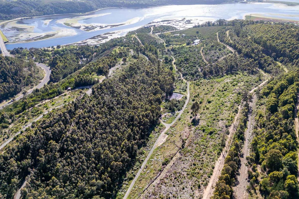 An aerial view of the expansive farm property featuring natural forest, access roads, and proximity to the river and surrounding landscape.