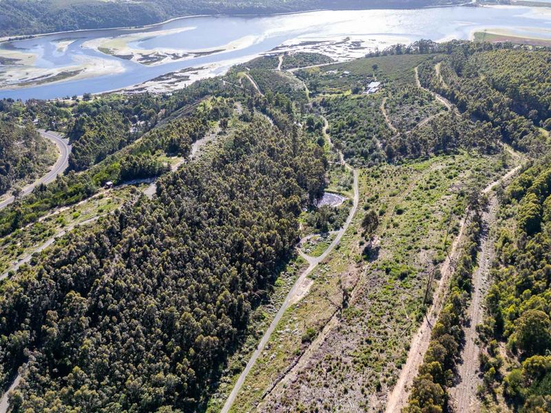 An aerial view of the expansive farm property featuring natural forest, access roads, and proximity to the river and surrounding landscape.