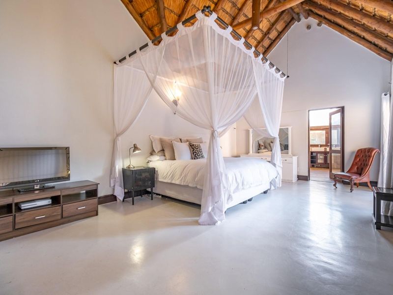 Spacious bedroom featuring high vaulted ceilings with exposed thatch and timber rafters, complemented by polished concrete flooring and direct access to an en-suite bathroom.
