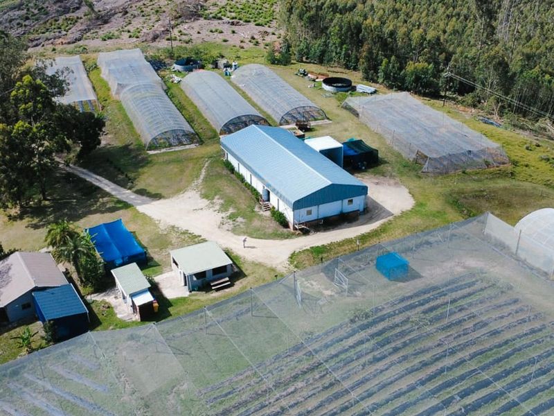 Aerial view of a farm property featuring multiple greenhouses, a large central shed, agricultural netting, and water storage infrastructure set within a rural landscape.