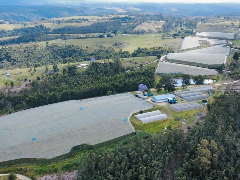 Aerial view of a large farm property featuring extensive agricultural netting, multiple greenhouses, farm buildings, and a private dam set within a rural landscape.