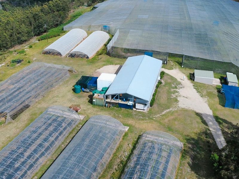Aerial view of a farm property featuring multiple greenhouses, agricultural netting structures, a central metal-roofed building, and water storage tanks.
