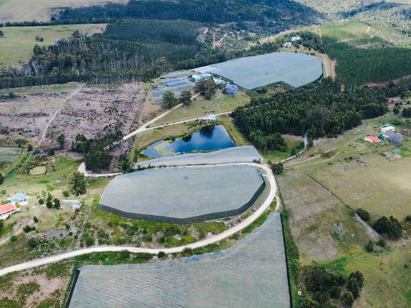 Aerial view of a large farm property featuring extensive agricultural netting, a central dam, and established plantation areas with access roads.