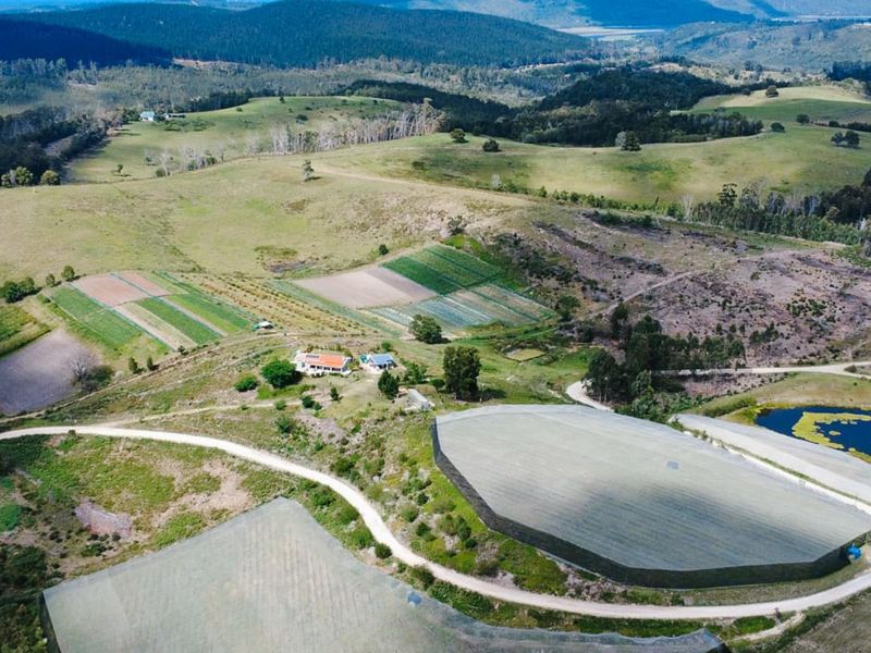Aerial view of a farm property featuring cultivated fields, large agricultural netting structures, a farm dam, and surrounding rolling hills.
