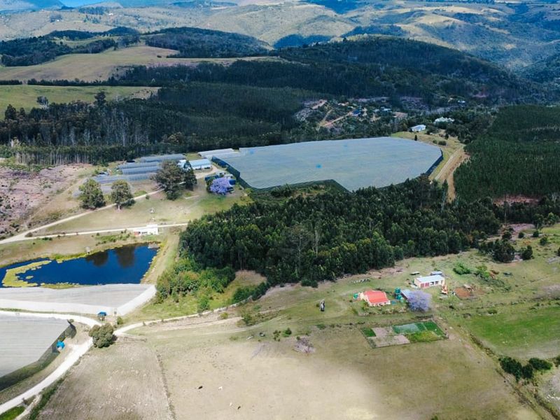 Aerial view of a large farm property featuring agricultural infrastructure, greenhouses, a dam, and surrounding rural landscape.