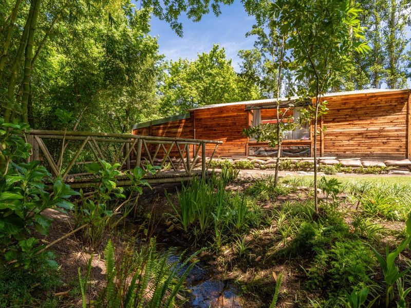 A tranquil garden setting featuring a wooden bridge over a small stream, leading to a timber-clad structure nestled among lush greenery.