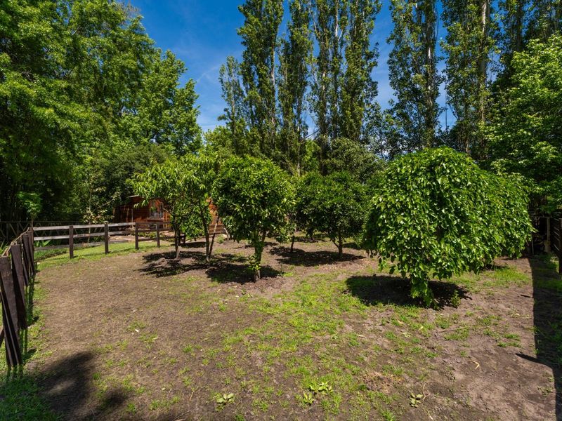 A spacious garden area featuring established trees and timber post and rail fencing, offering a natural outdoor setting.