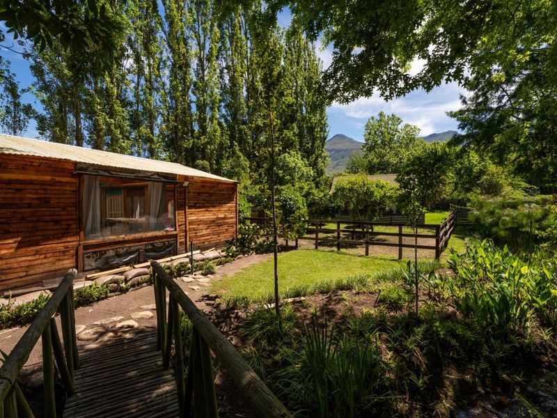 A scenic rear garden view featuring a timber-clad structure, a wooden footbridge over a small stream, and established trees with mountain views.