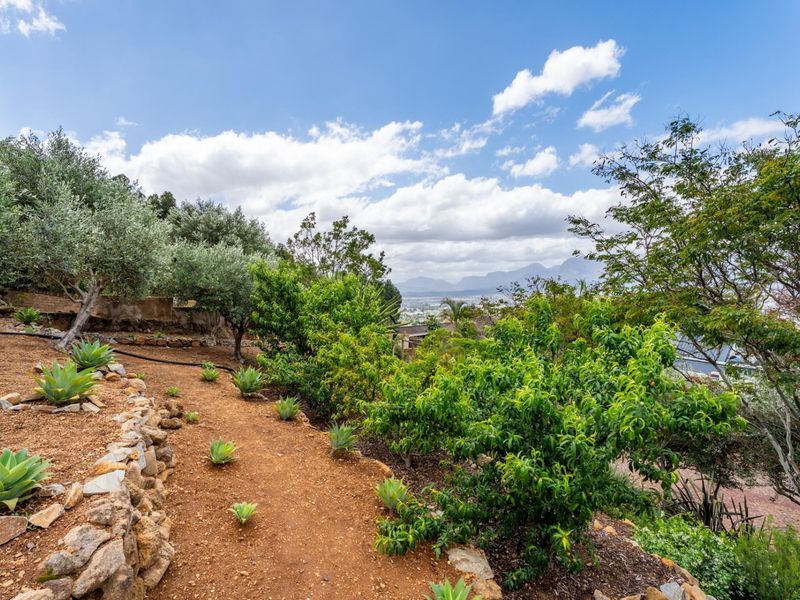 A landscaped garden featuring a stone retaining wall, established trees, and shrubs with scenic mountain views in the background.