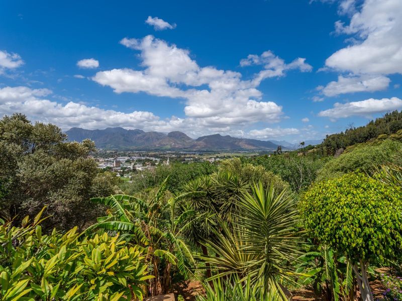 A scenic elevated view overlooking a lush garden with mature trees and shrubs, featuring a panoramic outlook of the town and distant mountain range.