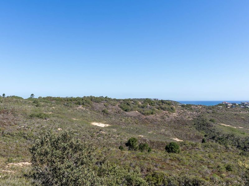 Sedgefield: Your Coastal Dream Awaits! - Photo 10