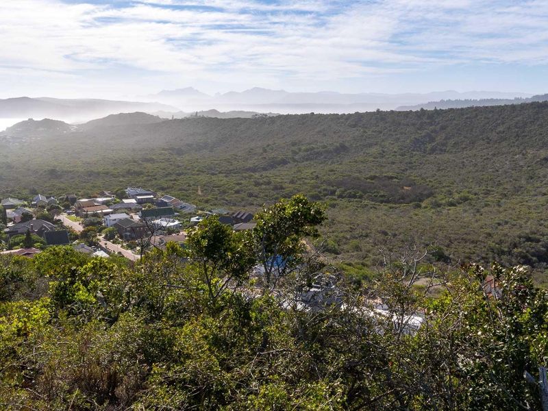 Sedgefield: Your Coastal Dream Awaits! - Photo 5