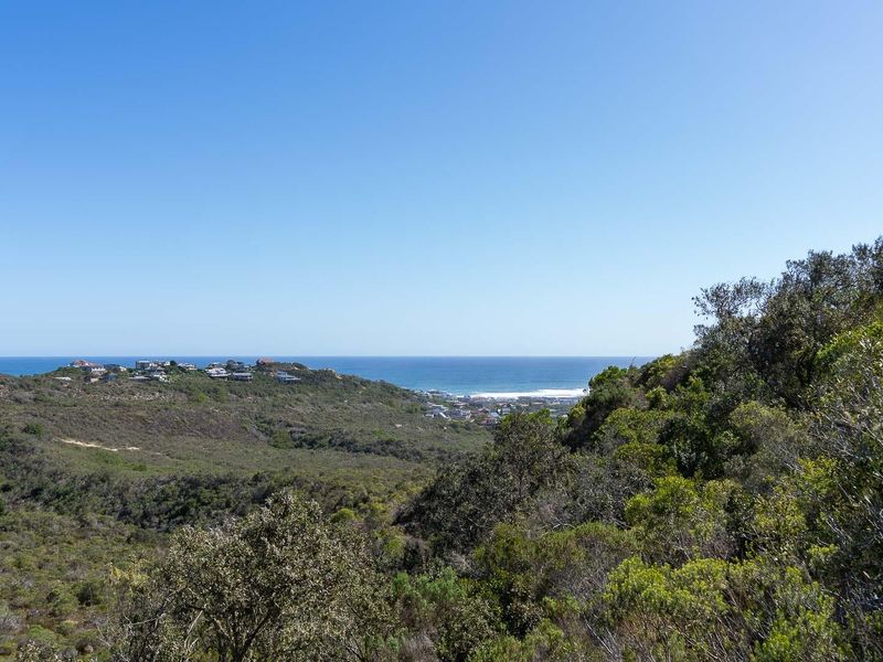 Sedgefield: Your Coastal Dream Awaits! - Photo 9