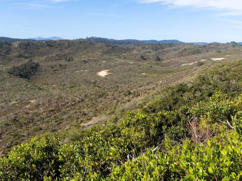 Sedgefield: Your Coastal Dream Awaits! - Photo 6