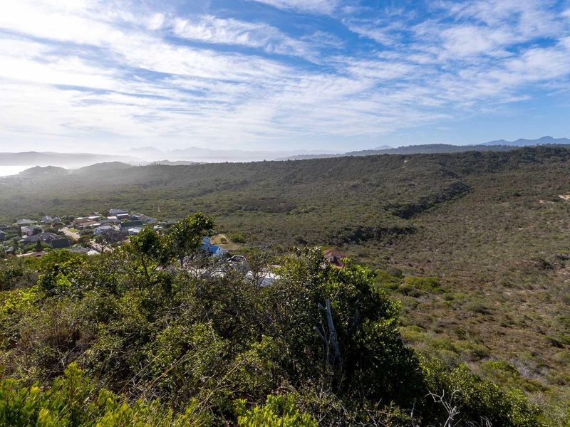 Sedgefield: Your Coastal Dream Awaits! - Photo 8