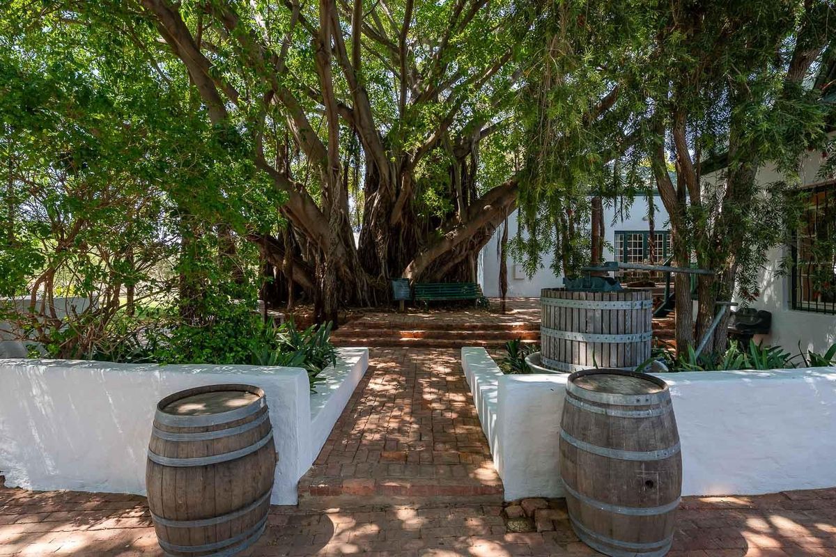 Farm Under Offer in McGregor - Photo 5