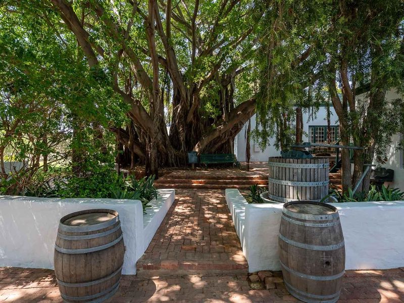 Farm Under Offer in McGregor - Photo 5