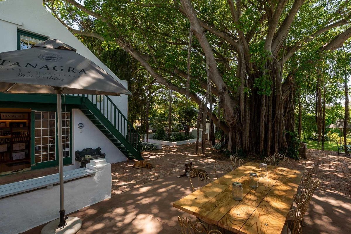 Farm Under Offer in McGregor - Photo 3