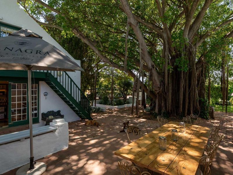 Farm Under Offer in McGregor - Photo 3