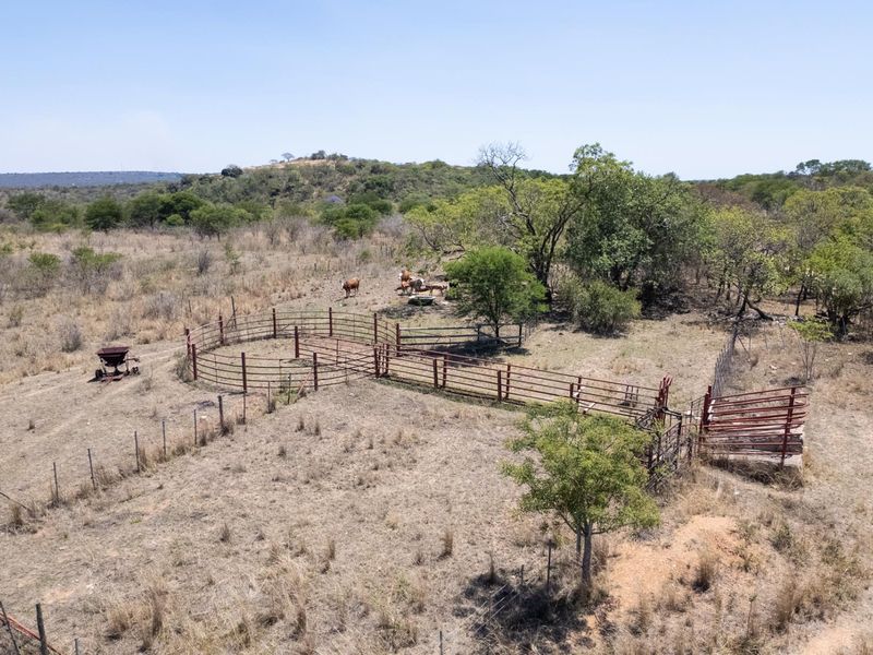 406ha Grazing Farm in a Beautiful Valley Near Polokwane - Photo 7