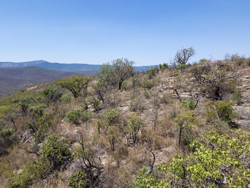 406ha Grazing Farm in a Beautiful Valley Near Polokwane - Photo 3