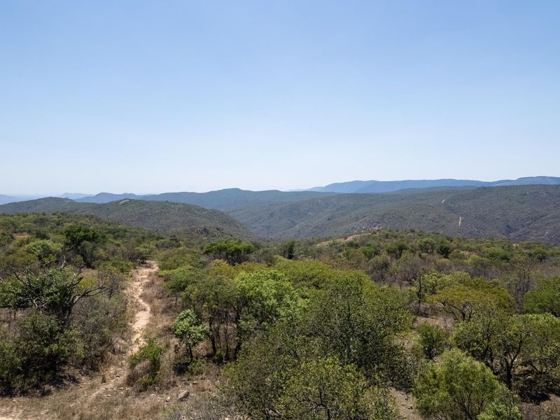 406ha Grazing Farm in a Beautiful Valley Near Polokwane - Photo 4