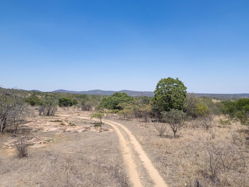 406ha Grazing Farm in a Beautiful Valley Near Polokwane - Photo 5