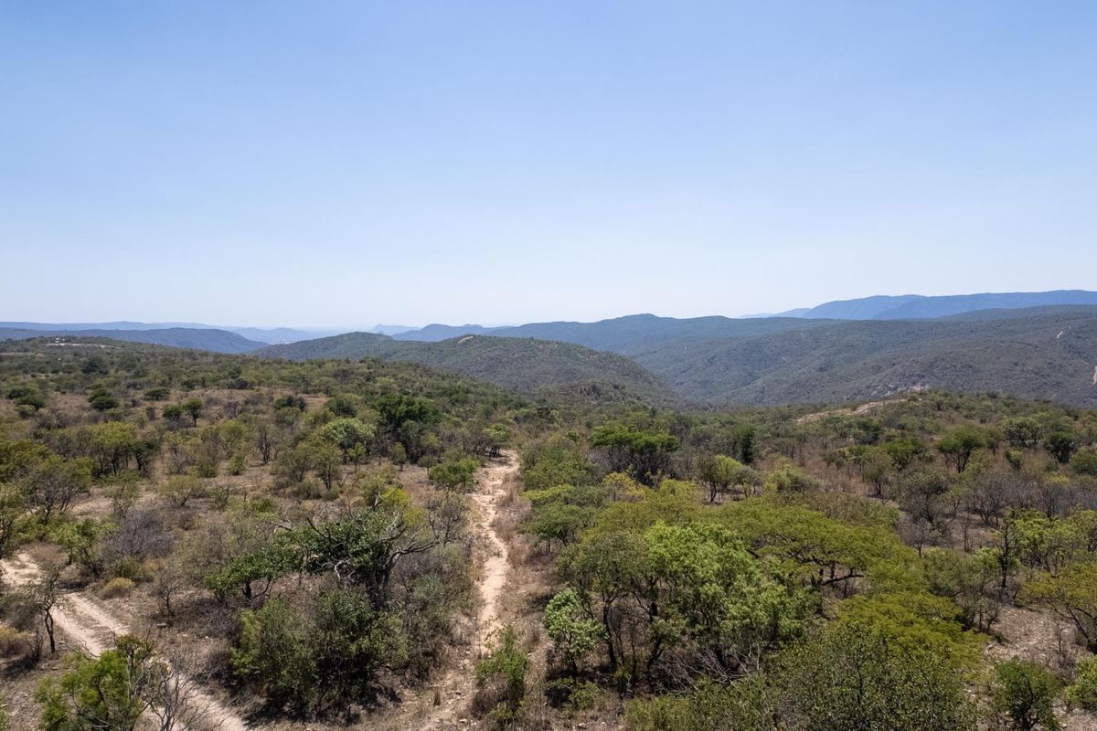 406ha Grazing Farm in a Beautiful Valley Near Polokwane - Photo 2