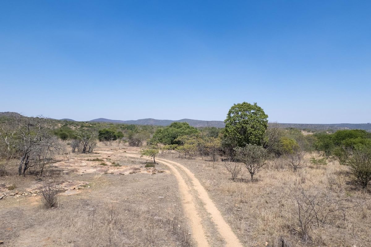 406ha Grazing Farm in a Beautiful Valley Near Polokwane - Photo 5