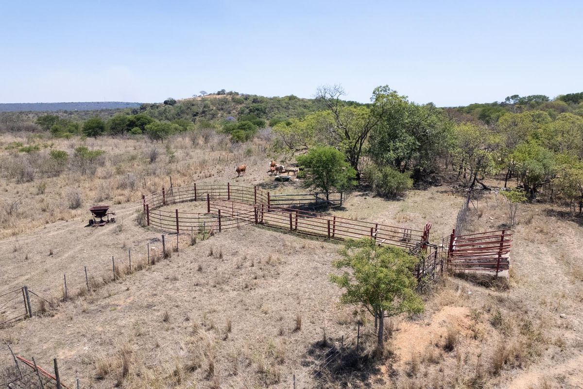 Aerial view of farm livestock handling facilities featuring metal cattle pens and loading ramp set within a rural landscape.