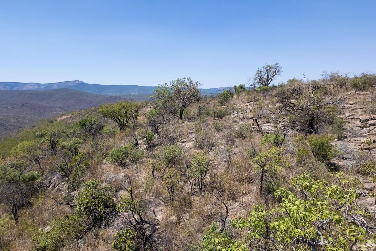 406ha Grazing Farm in a Beautiful Valley Near Polokwane - Photo 3