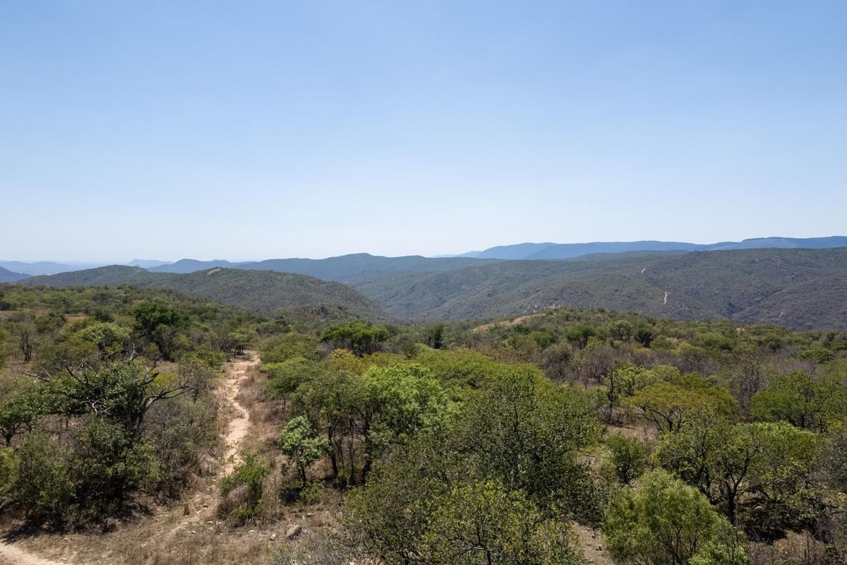 406ha Grazing Farm in a Beautiful Valley Near Polokwane - Photo 4