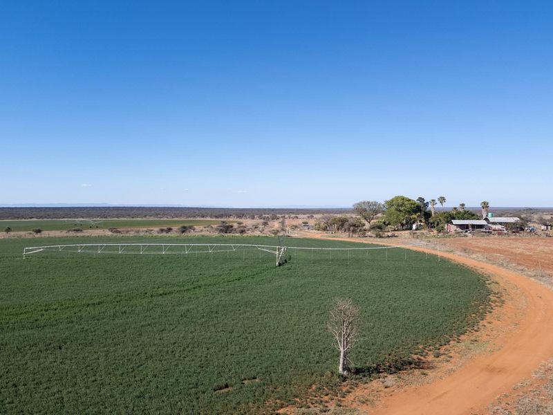 High-Potential Irrigation Farm with Water Rights - Photo 2