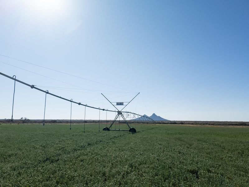 High-Potential Irrigation Farm with Water Rights - Photo 4