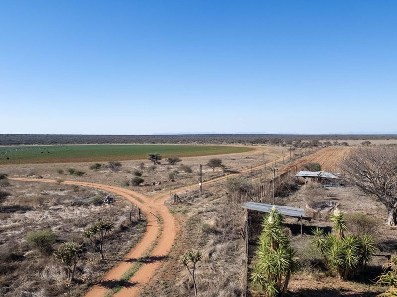 High-Potential Irrigation Farm with Water Rights - Photo 8