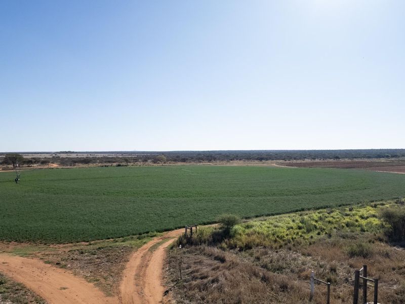 High-Potential Irrigation Farm with Water Rights - Photo 6