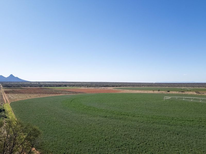 High-Potential Irrigation Farm with Water Rights - Photo 3