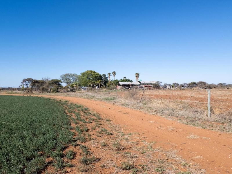 High-Potential Irrigation Farm with Water Rights - Photo 5