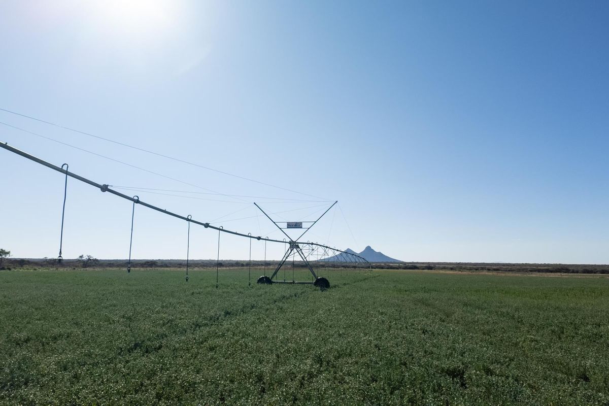 High-Potential Irrigation Farm with Water Rights - Photo 4