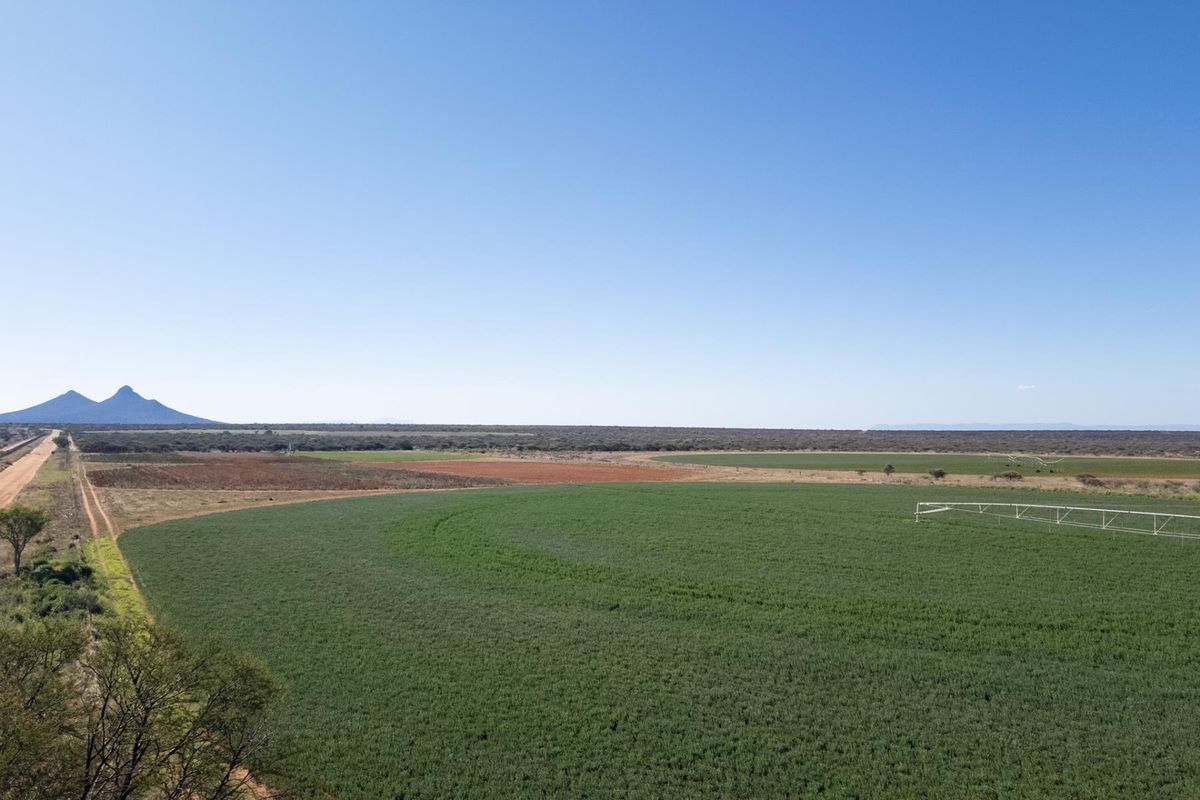 High-Potential Irrigation Farm with Water Rights - Photo 3